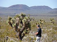 mojave (13) (Copier).JPG